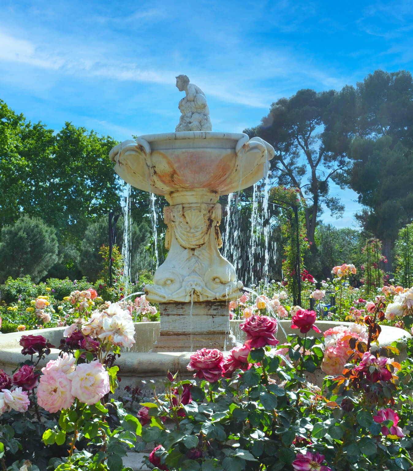 Фоновое изображение